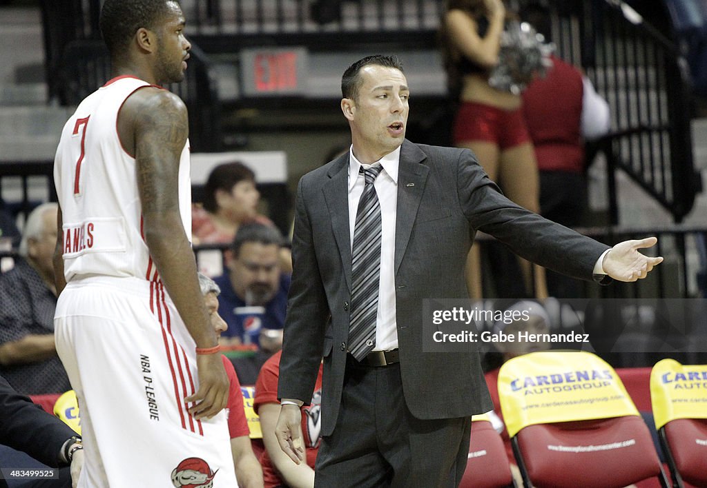 Rio Grande Valley Vipers v Iowa Energy