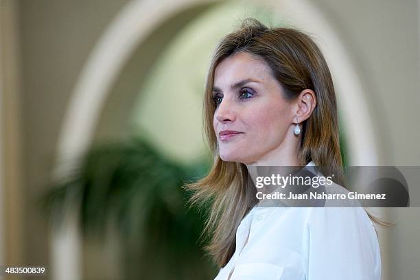 Princess Letizia of Spain receives organising committee of the 'World Chapionships Artistic Roller Skating' at Zarzuela Palace on April 9, 2014 in...