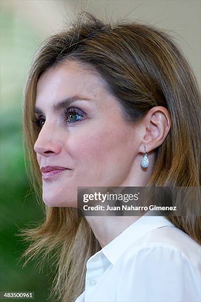 Princess Letizia of Spain receives organising committee of the 'World Chapionships Artistic Roller Skating' at Zarzuela Palace on April 9, 2014 in...