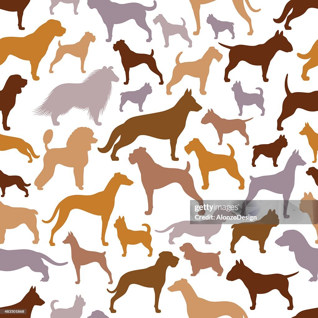 犬柄