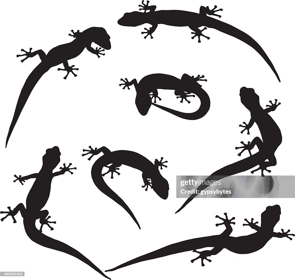 Des lézards abondance (vecteur