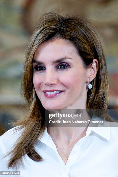 Princess Letizia of Spain receives organising committee of the 'World Chapionships Artistic Roller Skating' at Zarzuela Palace on April 9, 2014 in...