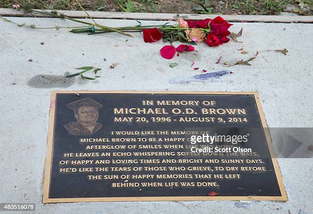 Roses lie next to a plaque in the sidewalk which honors Michael Brown following a memorial service marking the anniversary of Brown's death on August...
