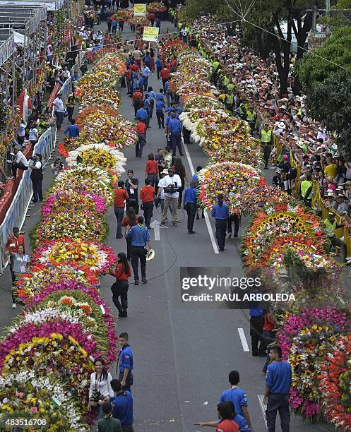 Picture of flower arrangements taken during the traditional "Silleteros" parade, as part of the Flower Festival in Medellin, Antioquia department,...