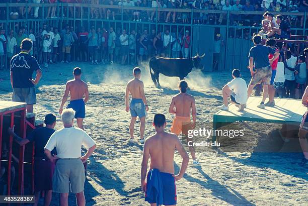 bull fights - denia 個照片及圖片檔