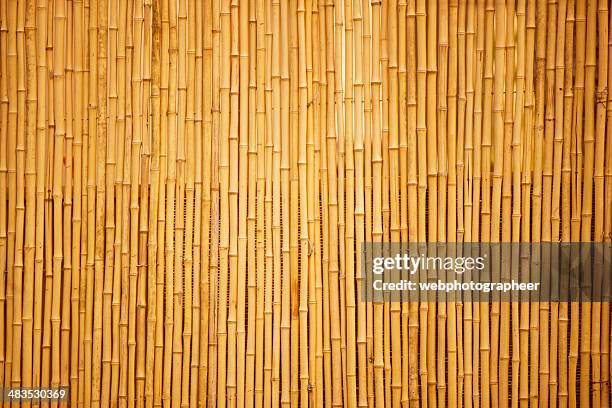 bamboo - bamboo-pattern bildbanksfoton och bilder