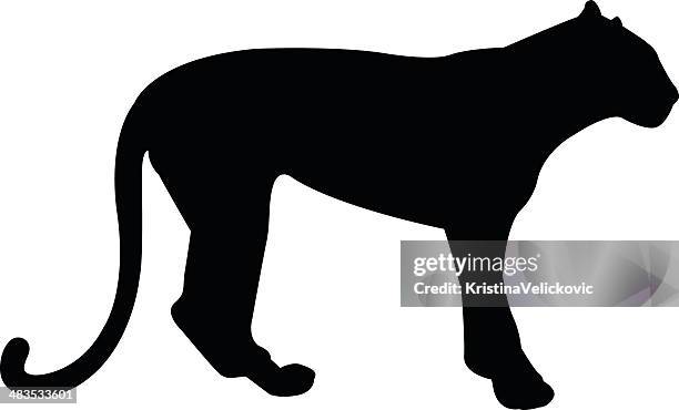 238点のクロヒョウイラスト素材 Getty Images 238点のクロヒョウイラスト素材 Getty Images