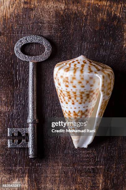 skeleton key with a seashell - skeleton key stock pictures, royalty-free photos & images