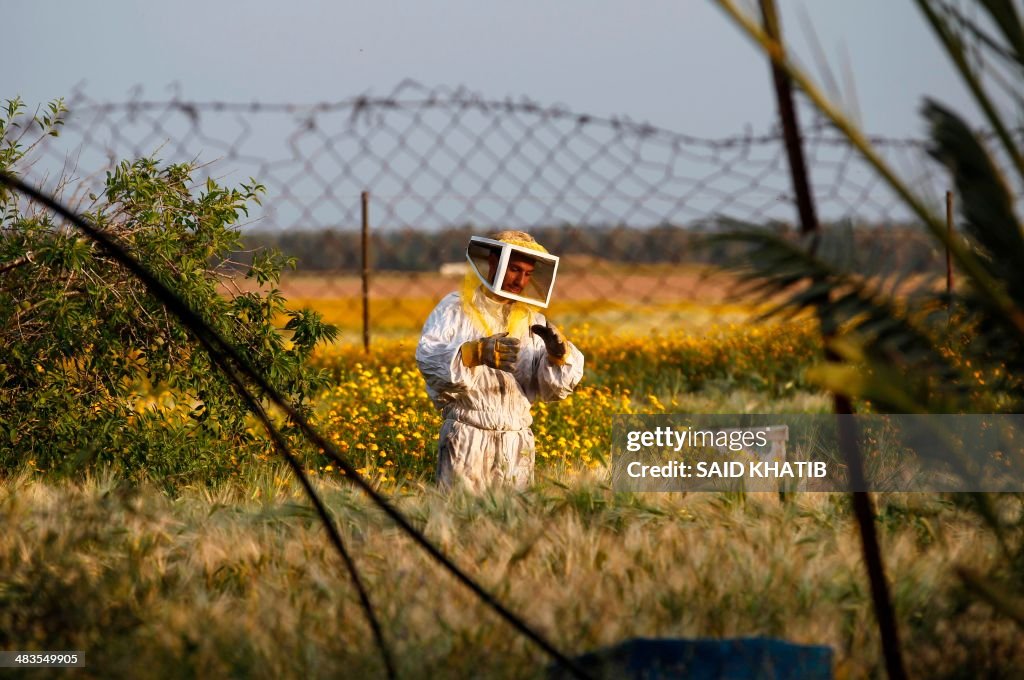 PALESTINIAN-GAZA-ECONOMY-AGRICULTURE-HONEY