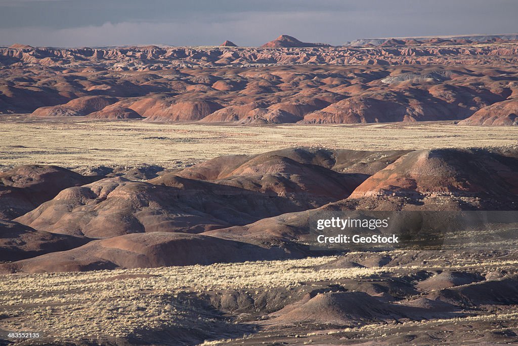 Painted Desert, Petrified Forest National Park