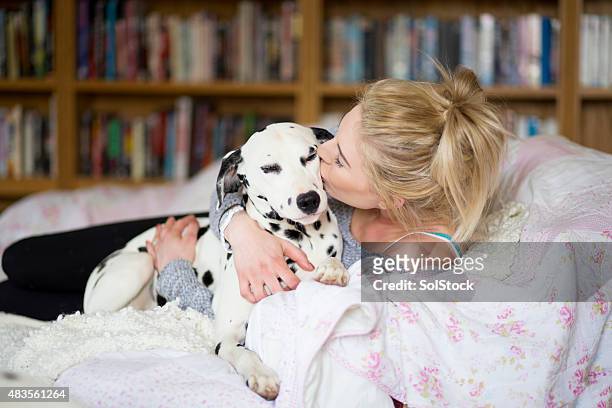 puppy loving - dalmatian dog stock pictures, royalty-free photos & images