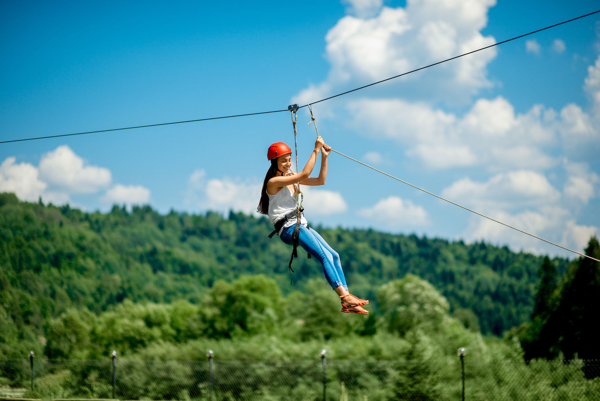 mountain zipline