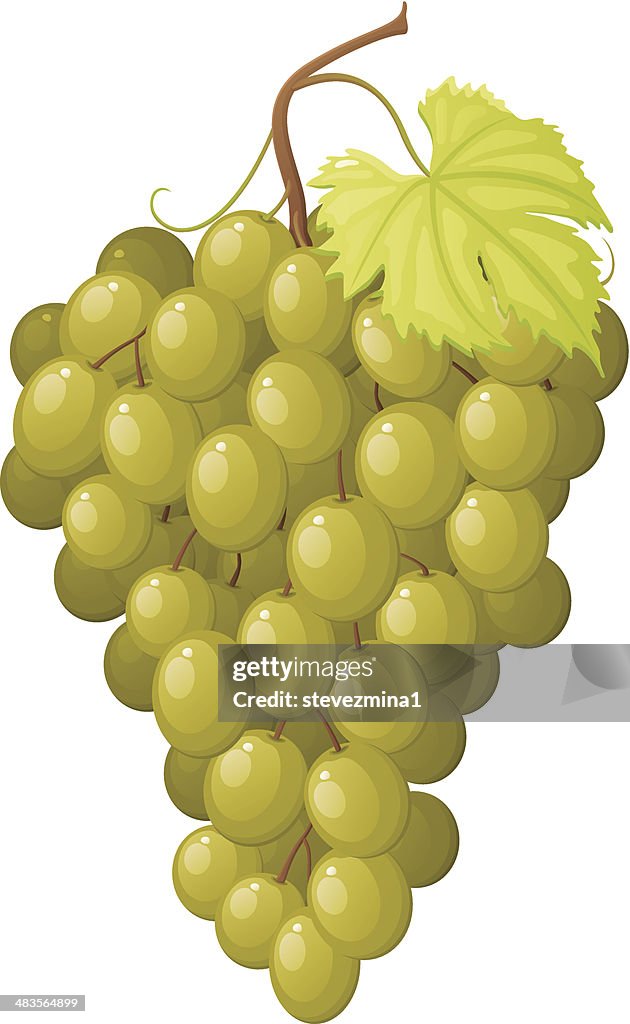 Uvas verde