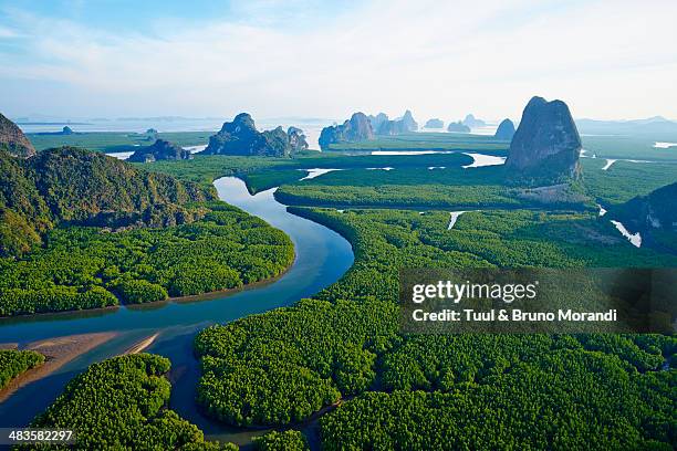 thailand, ao phang nga national parc - winding river stock pictures, royalty-free photos & images