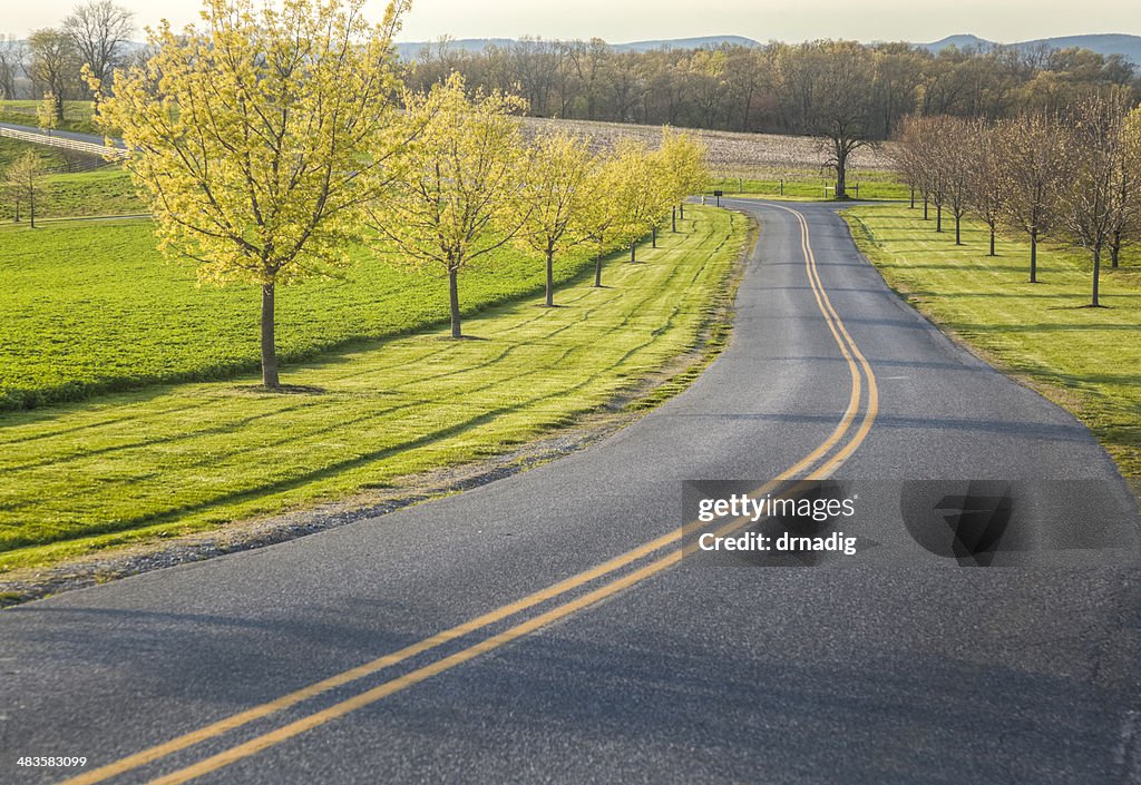 Country Lane Spring Spring Drive Along A Country Lane High-Res Stock Photo - Getty Images
