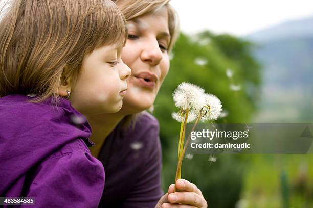 mother and child blowing dandelion - child dandelion stockfoto's en -beelden