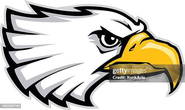 eagle head stylized - bald eagle head stock illustrations