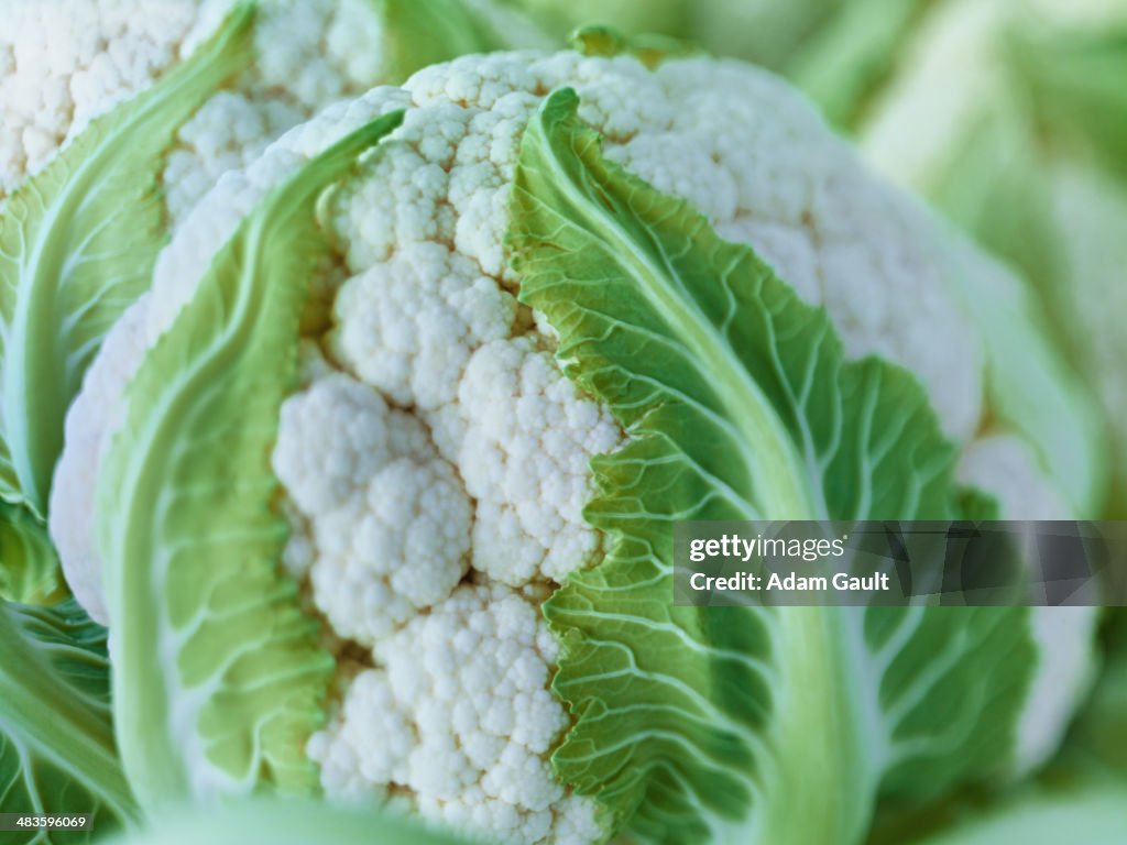 Extreme close up of raw cauliflower head