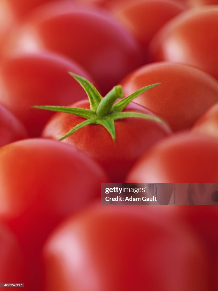 Extreme close up of red tomatoes