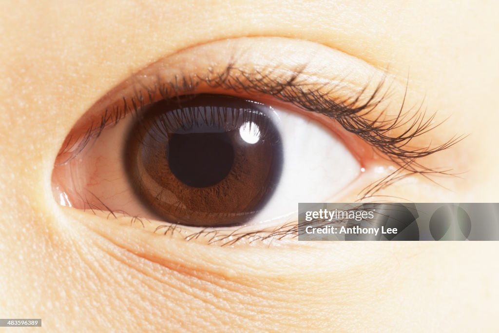 Extreme close up of brown eye