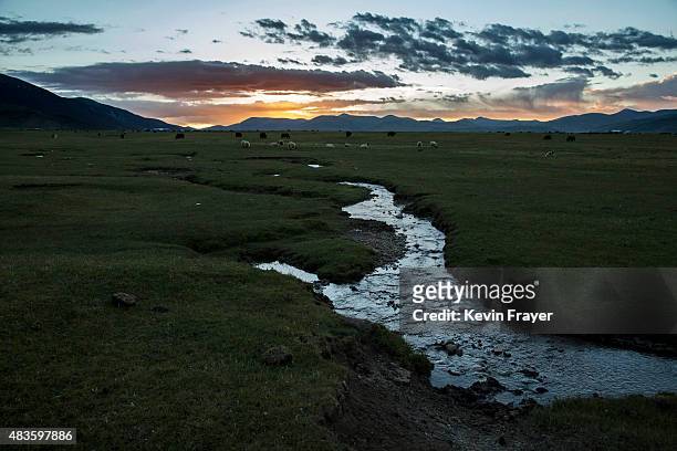 Stream runs through the grasslands of a Tibetan nomadic family's camp on July 27, 2015 on the Tibetan Plateau in Yushu County, Qinghai, China....
