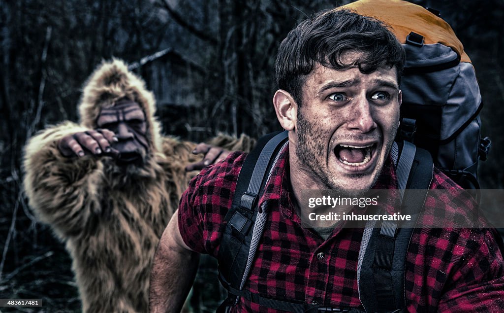 Bigfoot に恵まれ、キャンパーからの森