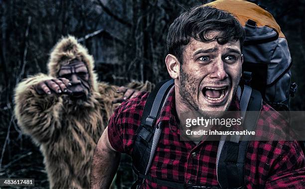 bigfoot chasing a camper thru the woods - chase stock pictures, royalty-free photos & images