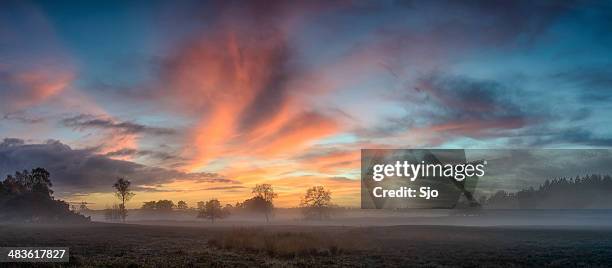 sonnenuntergang in der natur panorama - veluwe stock-fotos und bilder