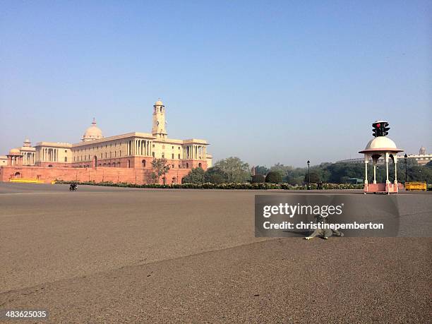 india, new delhi, vijay chowk, a stray dog sitting in the middle of road - rajpath bildbanksfoton och bilder