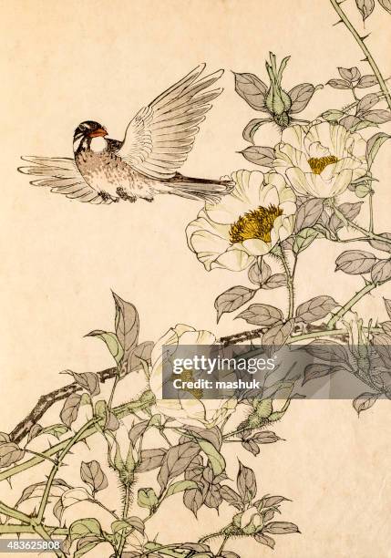 19th century japanese woodblock print - bird stock illustrations