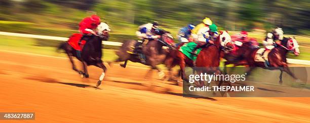 horse pferderennen - horse racing stock-fotos und bilder
