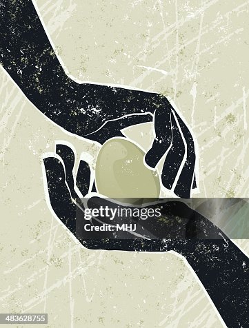 Hand's Cradling an Egg Hand's Cradling an Egg