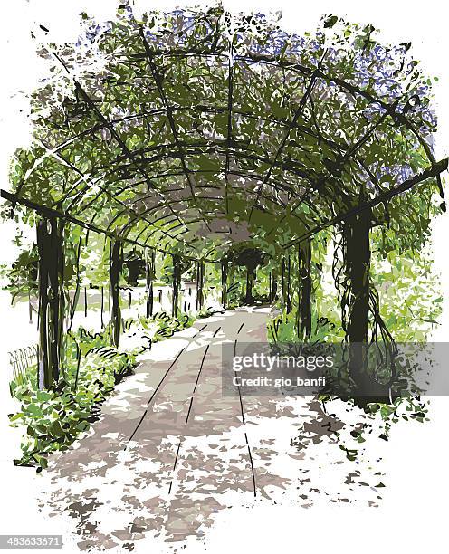 garden - garden path stock illustrations