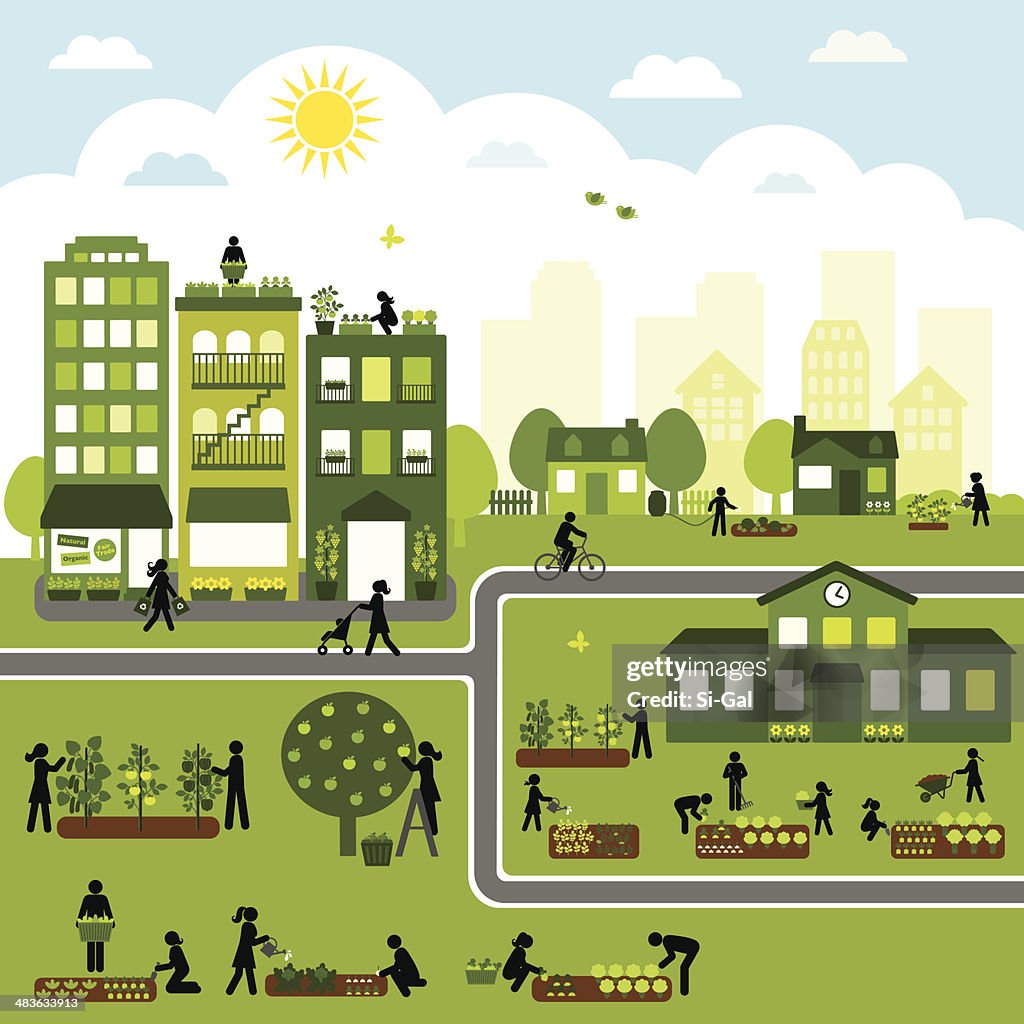 Urban agricultura Comunidade