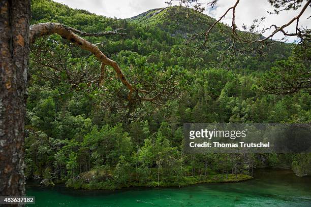 Kinsarvik, Norway Dark green lake with mixed forest close to Kinsarvik on July 16, 2015 in Kinsarvik, Norway.