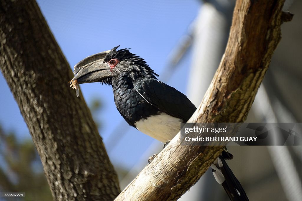 FRANCE-ANIMALS-ZOO-PARIS