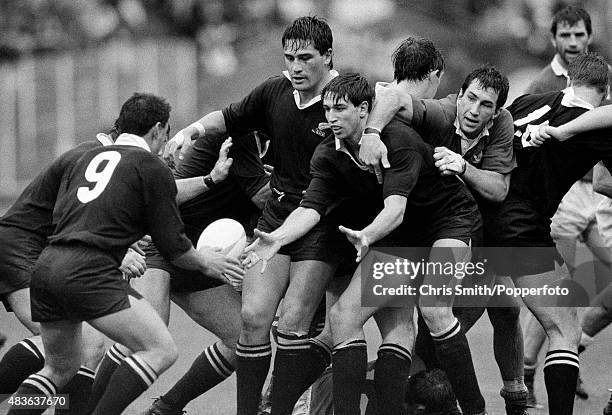 33 Graeme Bachop Stock Photos, HighRes Pictures, and Images Getty Images