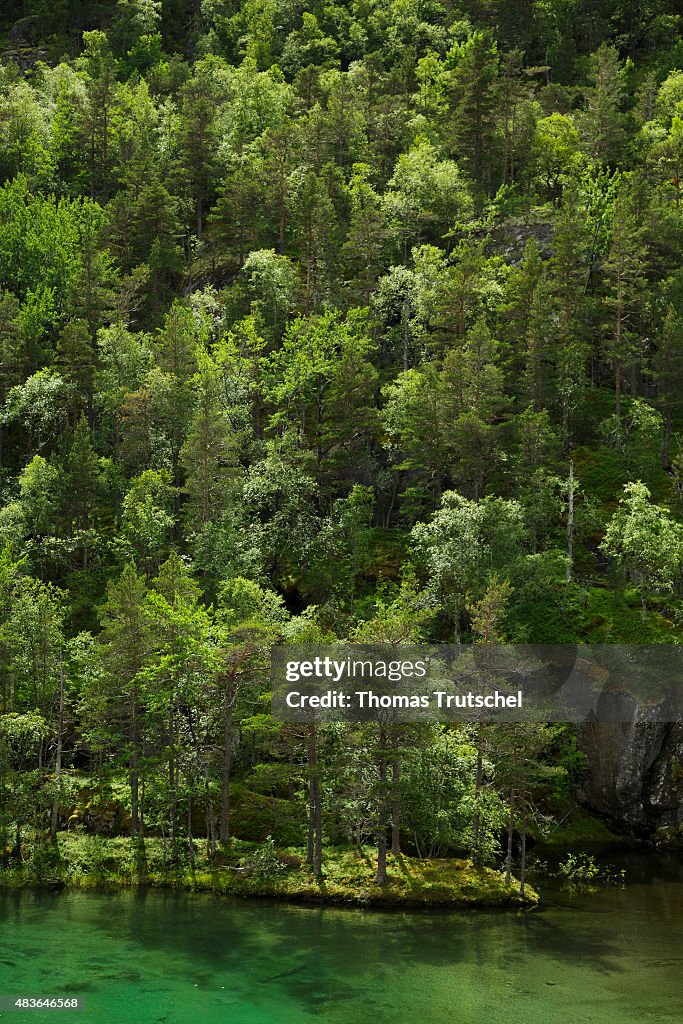 Norways Landscape