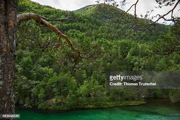 Dark green lake with mixed forest close to Kinsarvik at the national park of Hardangervidda in Norway on July 16, 2015.