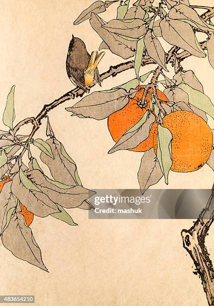 418点のみかんイラスト素材 Getty Images 418点のみかんイラスト素材 Getty Images