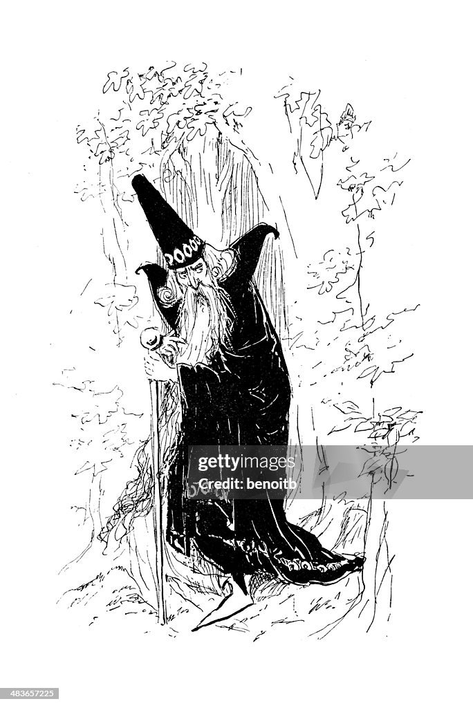 Wizard In The Forest
