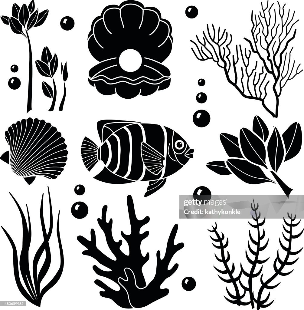 Sea Creatures Layout Sea Creatures Design Elements High-Res Vector Graphic - Getty Images