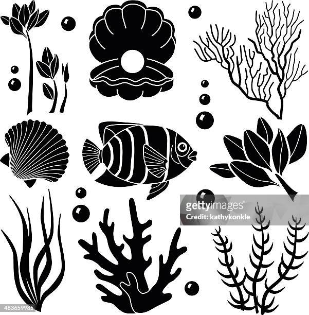 sea creatures design elements - oyster pearl stock illustrations