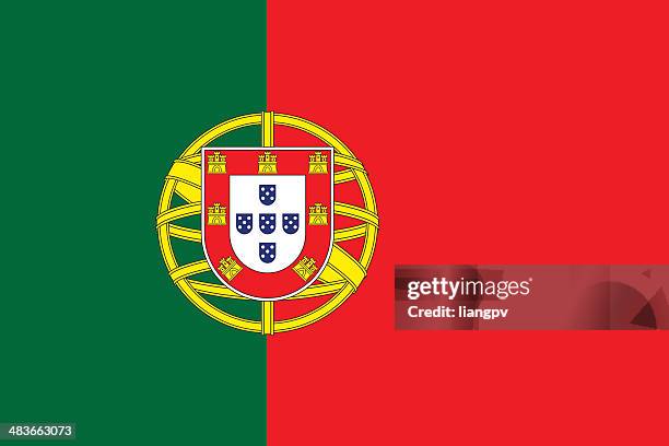 bildbanksillustrationer, clip art samt tecknat material och ikoner med flag of portugal - nationsflagga