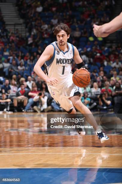 April 9: Alexey Shved of the Minnesota Timberwolves dribbles up the court against the Chicago Bulls during the game on April 9, 2014 at Target Center...