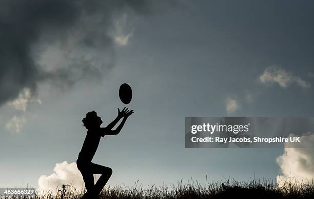 Catching Falling 204 Catch A Falling Star Stock Photos, High-Res Pictures, and Images ...