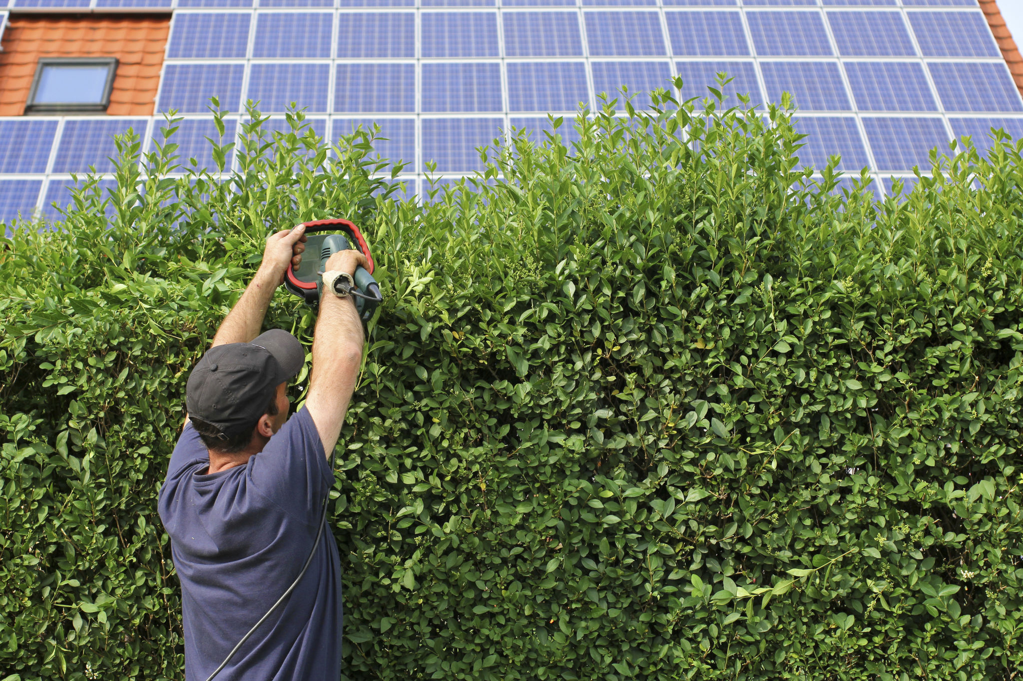 tree trimming solar panels