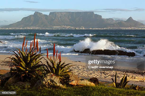 ville du cap et la montagne de la table - table mountain south africa photos et images de collection