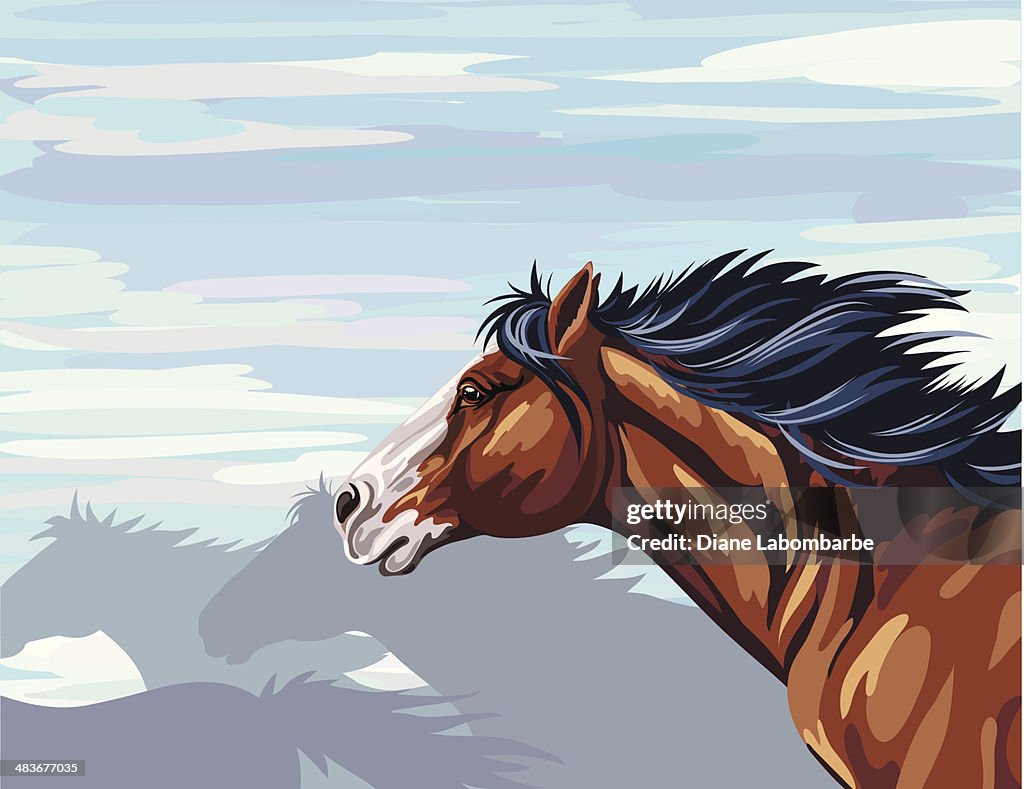 Wild Horse Running