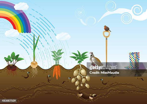 vegetable garden allotment landscape - worm stock illustrations